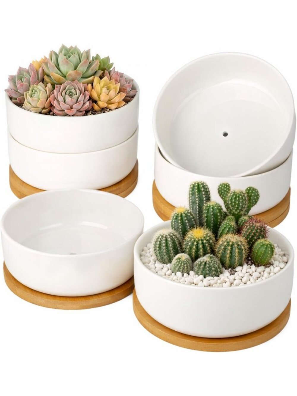6 Pack Ceramic Succulent Pots with Drainage Tray - White Planters for Home Decor
